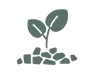 Emergency tree removal services in Wellington ensuring property safety by RJ Tree Services.